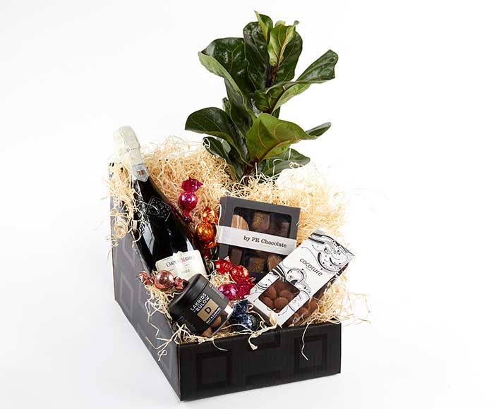 Festlicher Geschenkkorb mit Pflanze
