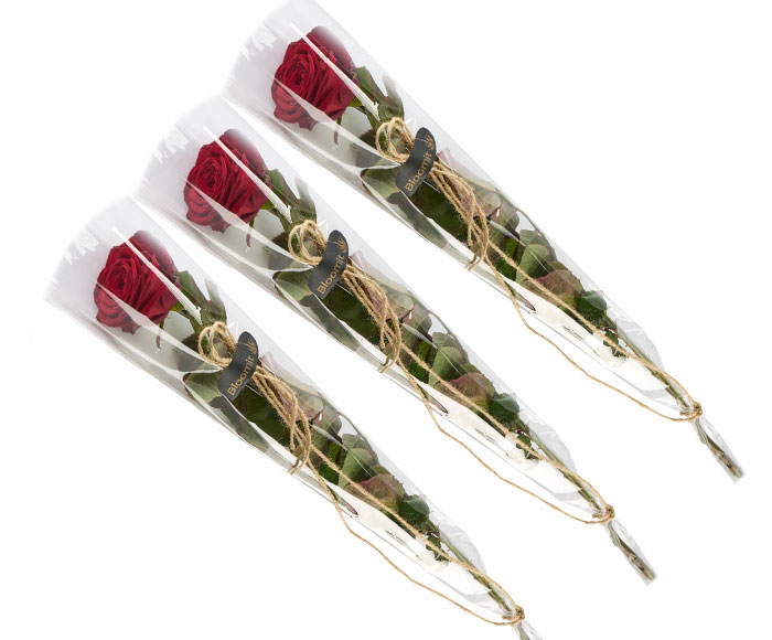 Einzelverpackte Rosen, 3 Stück (Rot)