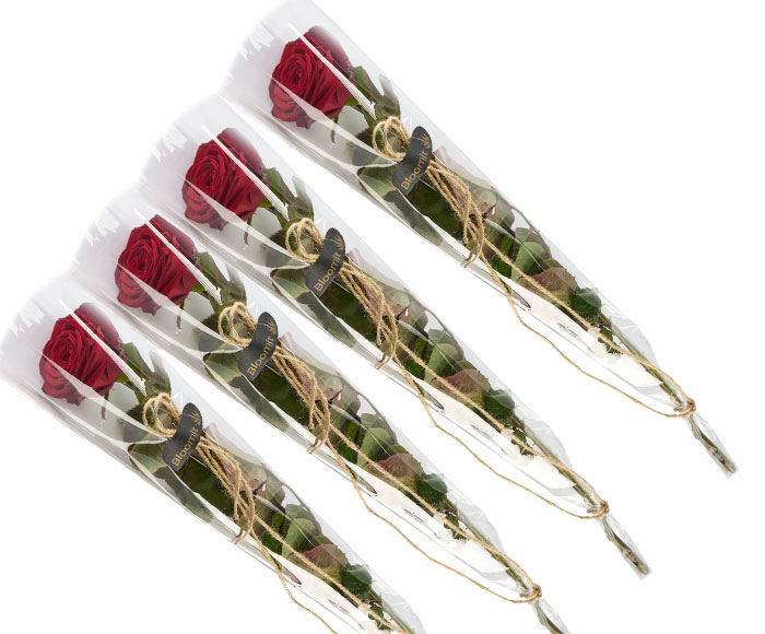 Einzelverpackte Rosen, 4 Stück (Rot)