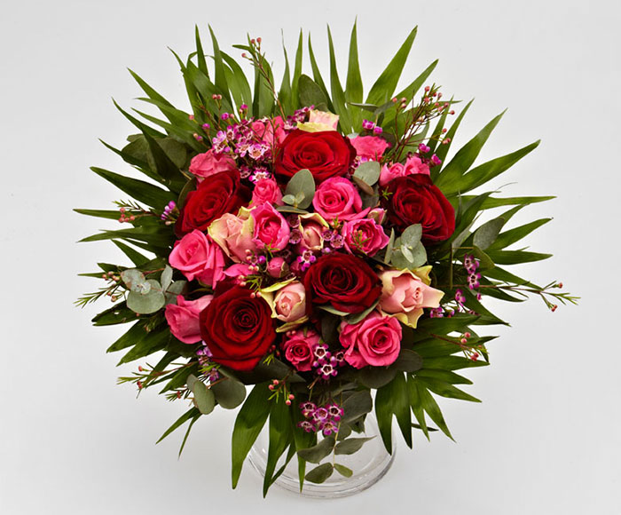 Romantische Rosen