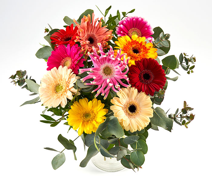Farbenstrahlender Strauß Gerbera