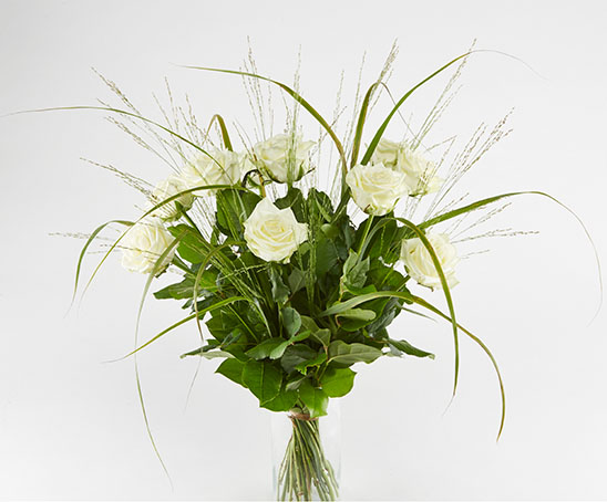 Weiße Rosen